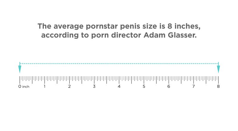 Dick Size - Comparing The Average Penis Size And Pornstar Penis Size [2024]