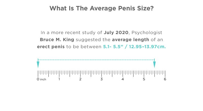 Comparing The Average Penis Size And Pornstar Penis Size [2024]